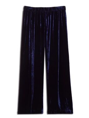Eileen Fisher Velvet Pleated Straight Pant XS